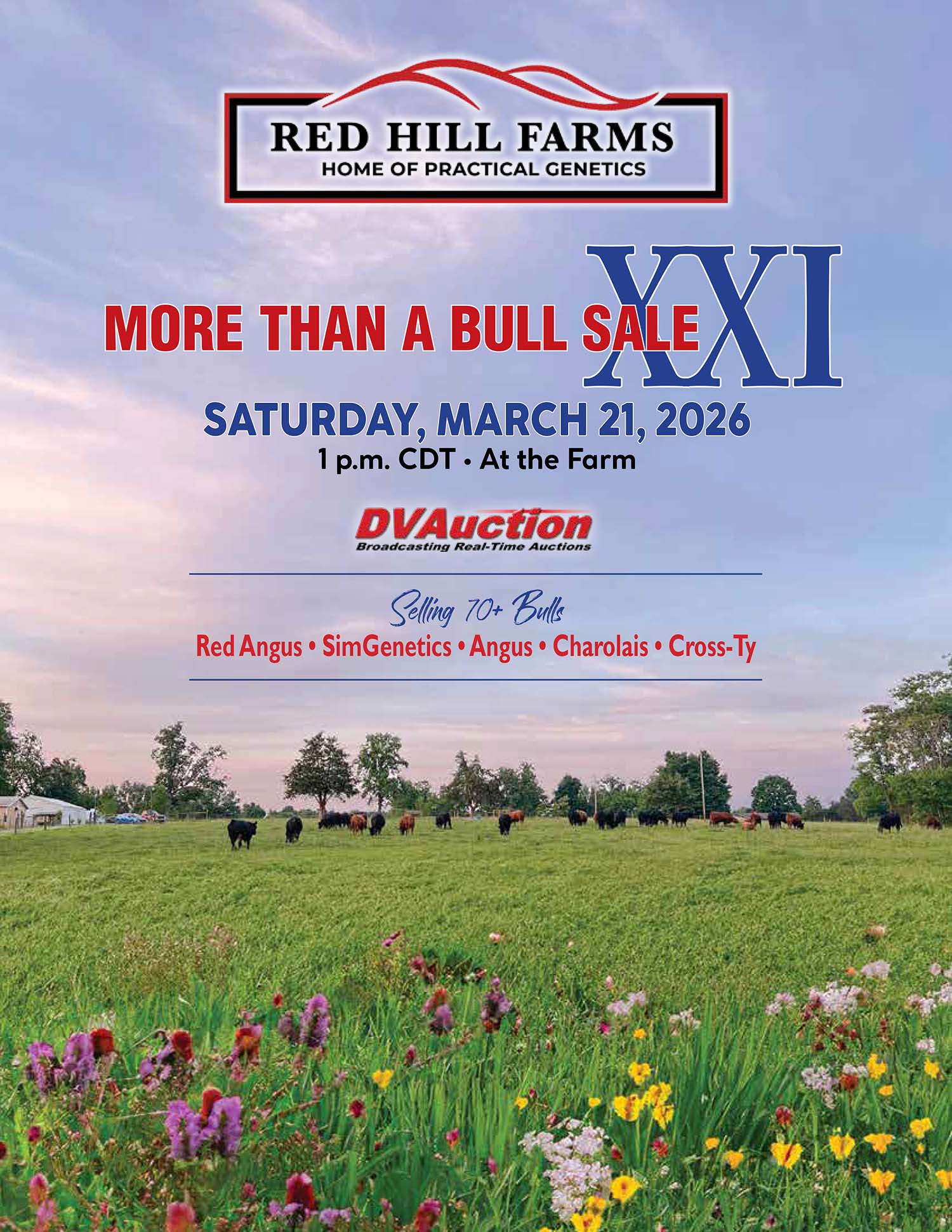 Red Hill Farms 2026 More Than a Bull Image Red Hill Farms 2026 More Than a Bull