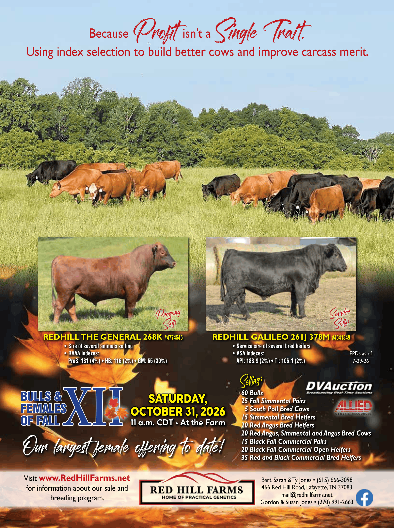 Bulls and Females of Fall XII SimTalk PROOF Bulls and Females of Fall XII
