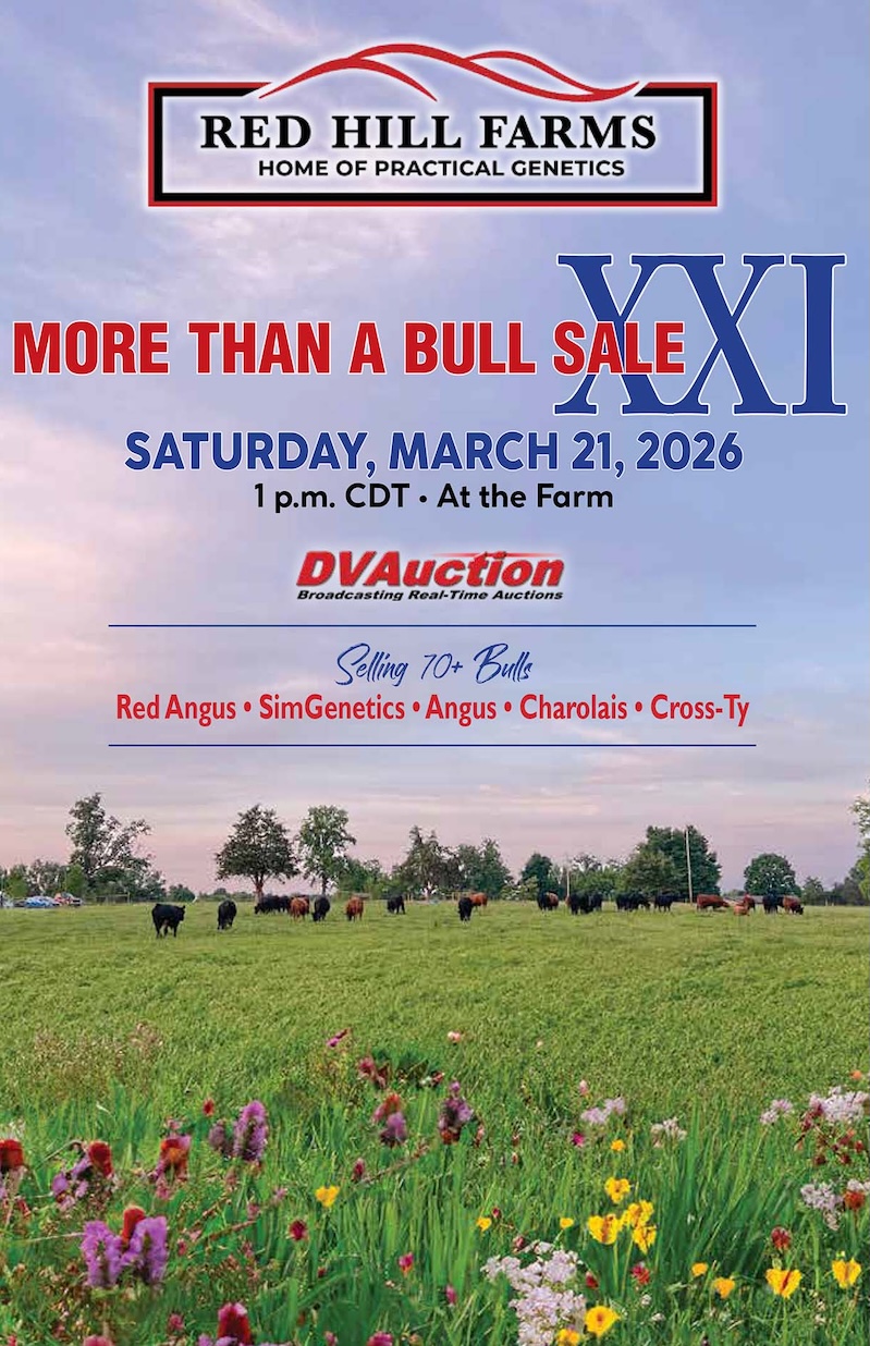 Red Hill Farms 2026 More Than a Bull Sale