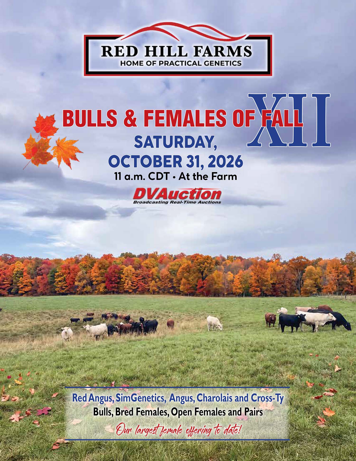 Red Hill Farms More Than a Bull Sale XII